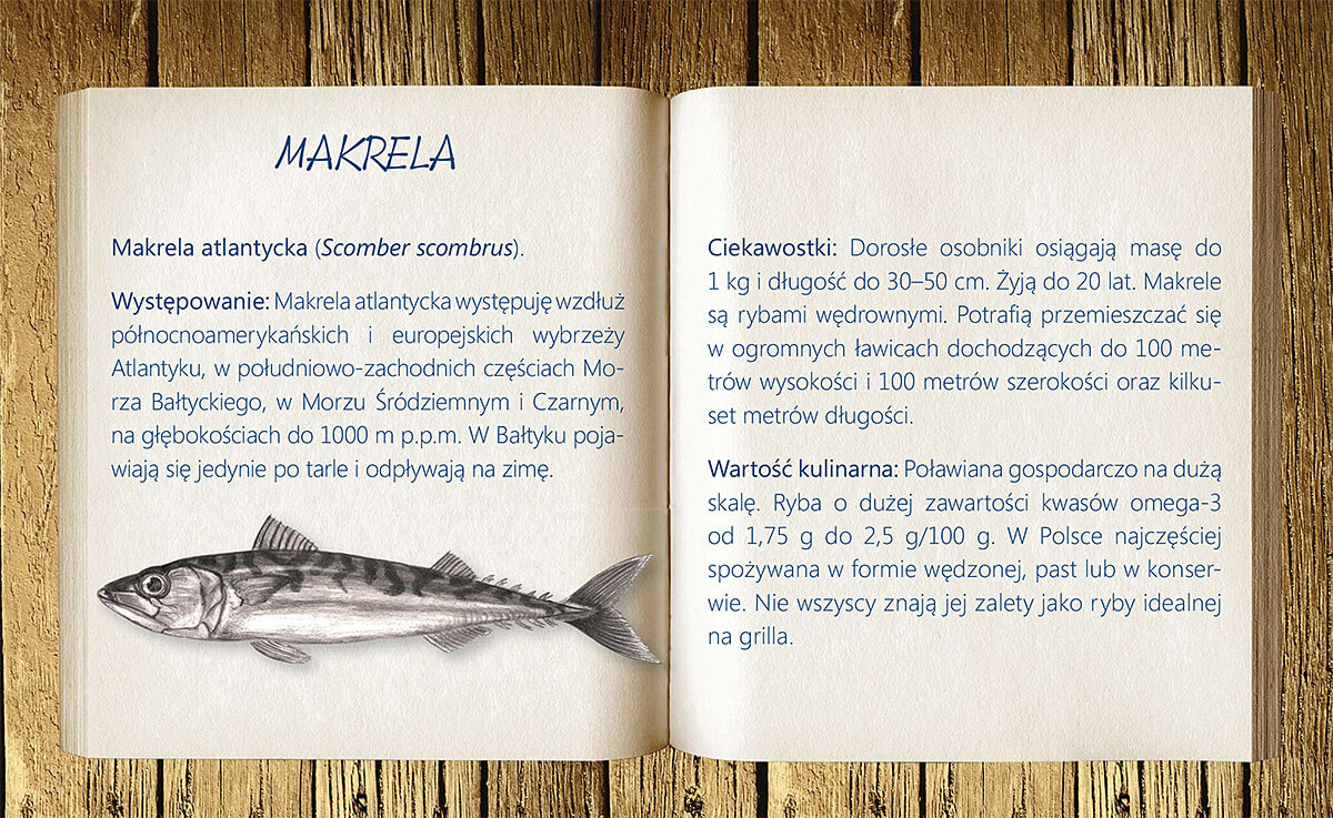 Grafika przedstawia ciekawostki o rybie Makrela