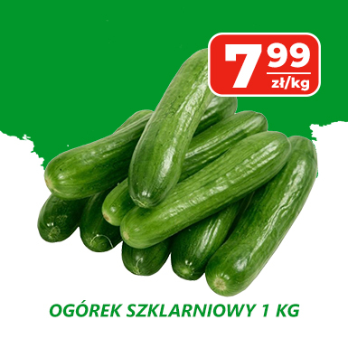 WO - ogórek