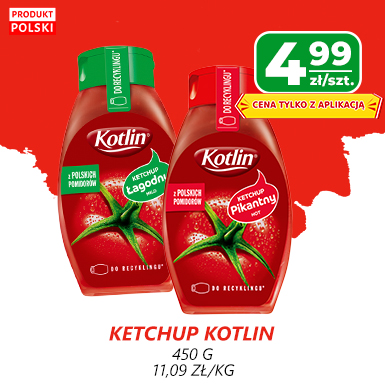 KETCHUP HITY