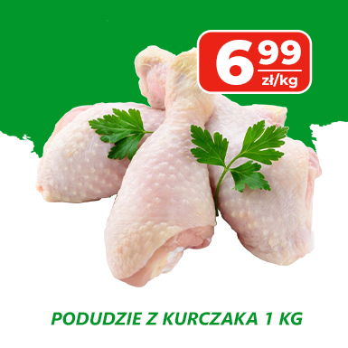 Podudzie
