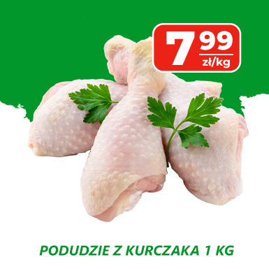 Podudzie