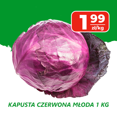 kapusta