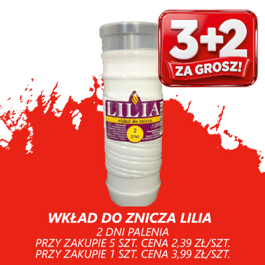 ZNICZ 2 DNI
