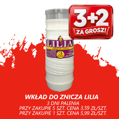 ZNICZ 3 DNI