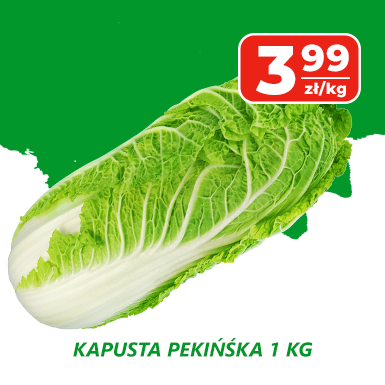Kapusta
