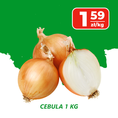 cebula