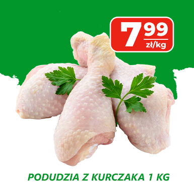 podudzia